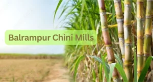 Balrampur Chini Mills