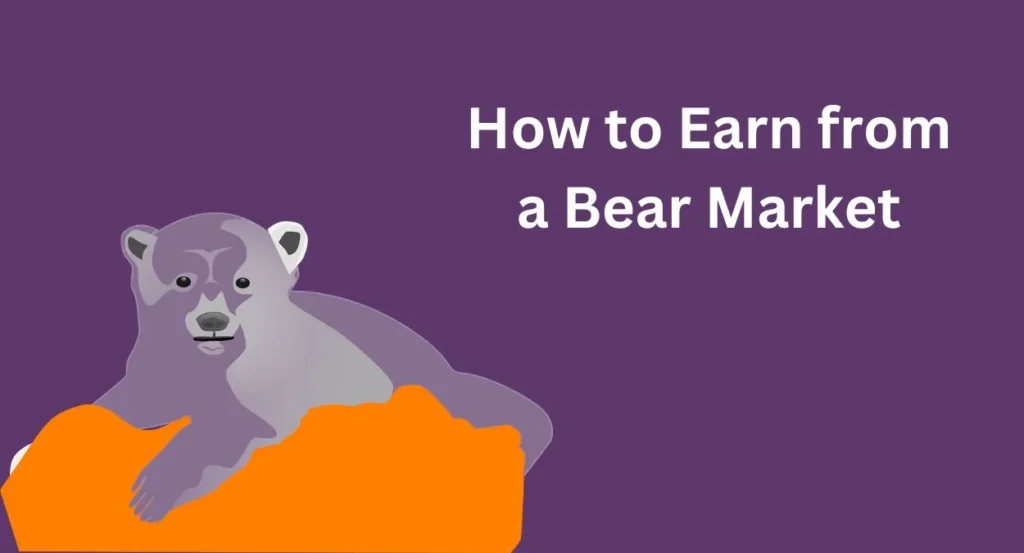 How to Earn from a Bear Market