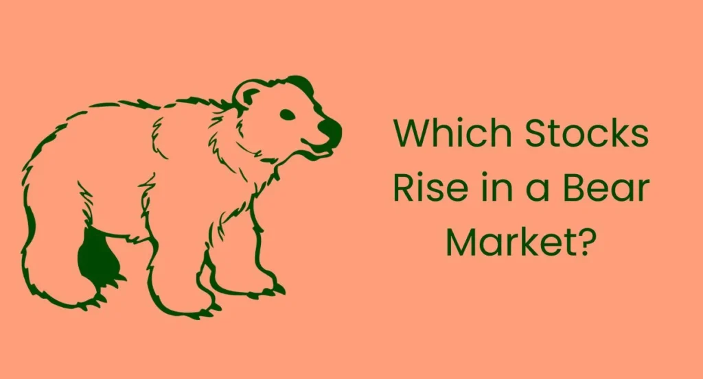 Which Stocks Rise in a Bear Market