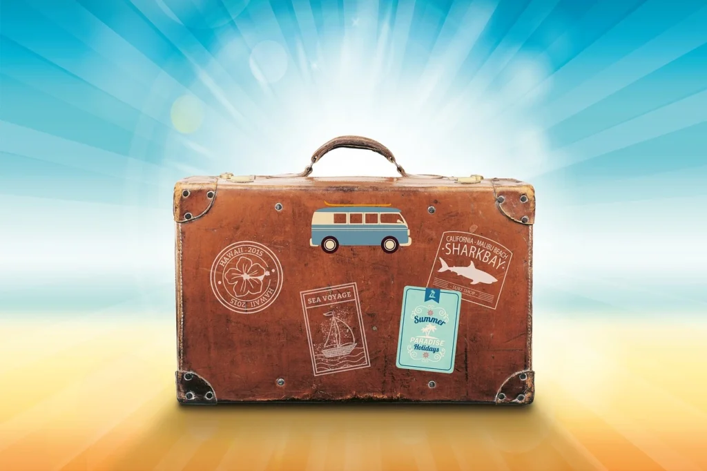 vip industries