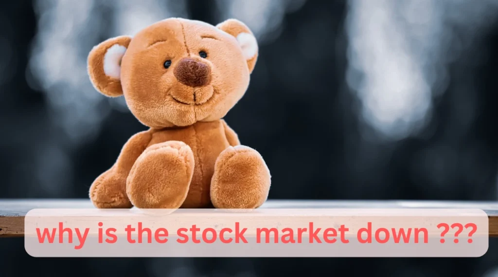 why is the stock market down