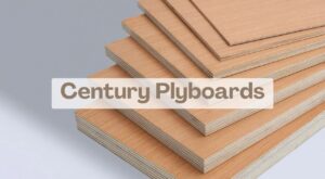 Century Plyboards (India) Limited Growth Strategy, Future Outlook, Challenges, Key Advancements, and Investment Analysis