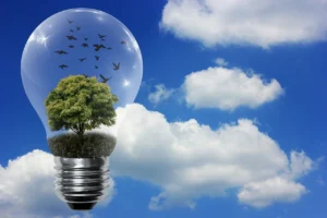 renewable-energy.